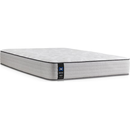 Sealy Diggens Firm Twin Mattress