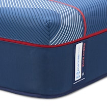 sealy® brenham blue twin xl mattress   