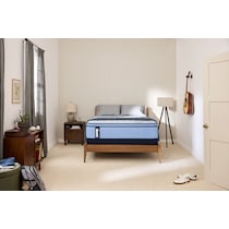 sealy® elmsford blue california king mattress   