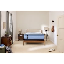 sealy® elmsford blue california king mattress   