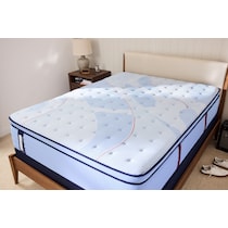 sealy® elmsford blue queen mattress   