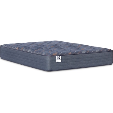 Sealy Special Edition Weston Lane Firm Mattress