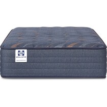 sealy® weston lane blue twin mattress   