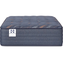 sealy® weston lane blue twin mattress   