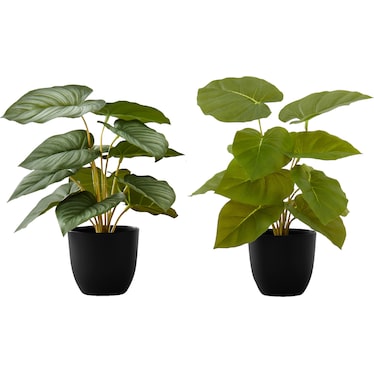 Set of 2 Faux Epipremnum with Black Planters