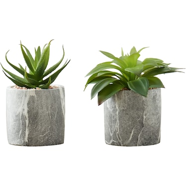 Set of 2 Faux Succulent with Gray Planters