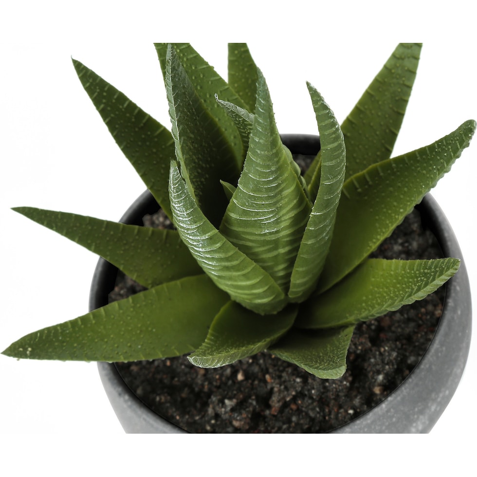 set gray faux plant   