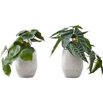 set white faux plant   