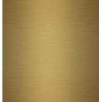 shea gold mirror   