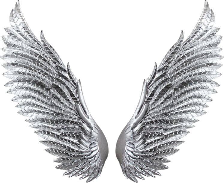 B*u様 WILDSWANS / CSS-WINGS wall Silver Wings 24'' x 54'' Wall Art | Value City Furniture