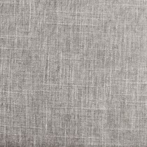 silver swatch  
