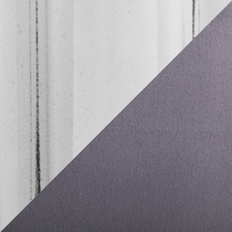 silver swatch  