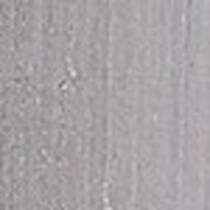 silver swatch  