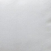 silver swatch  