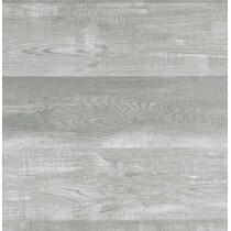 silver swatch  