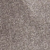 silver swatch  