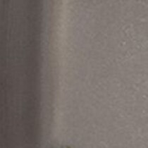 silver swatch  