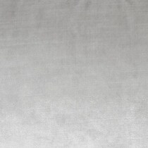 silver swatch  