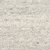 silver swatch  