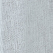 silver swatch  