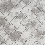silver swatch  