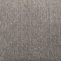silver swatch  