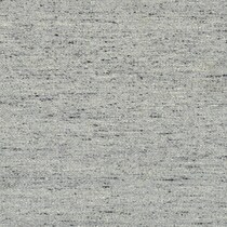 silver swatch  