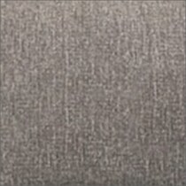 silver swatch  