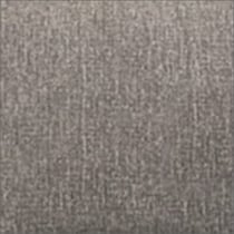 silver swatch  