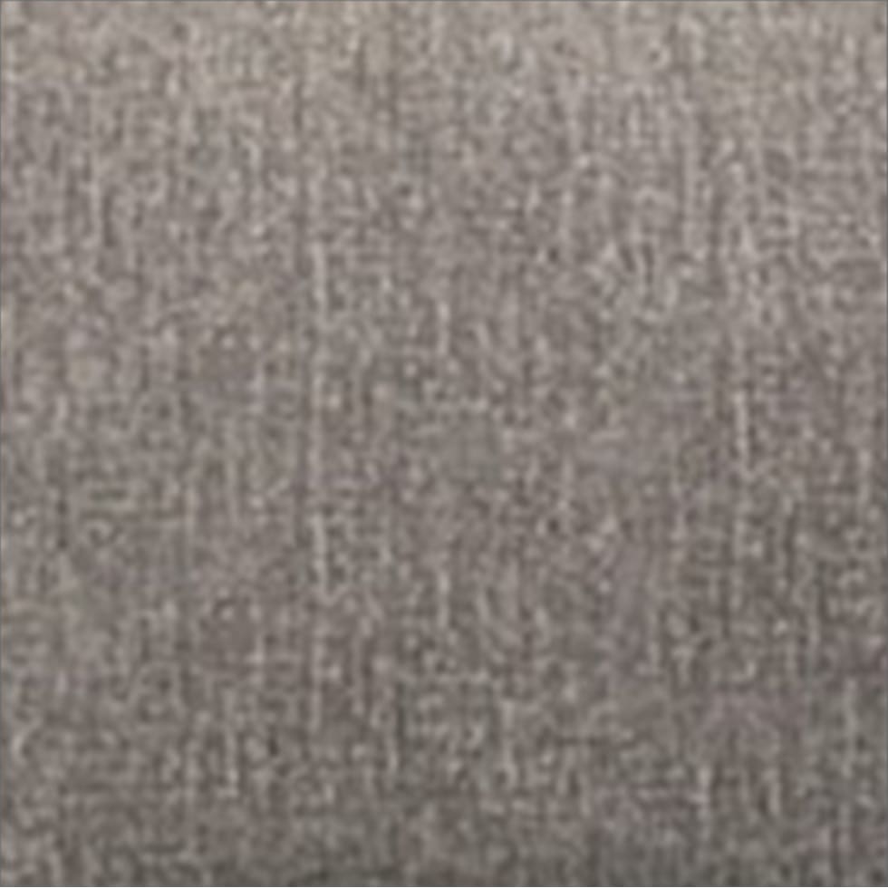 silver swatch  