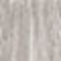 silver swatch  