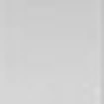 silver swatch  
