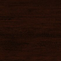 tan espresso swatch  
