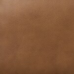 tan swatch  