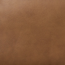 tan swatch  