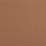 tan swatch  
