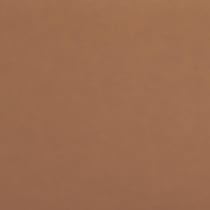 tan swatch  
