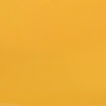 tangerine swatch  