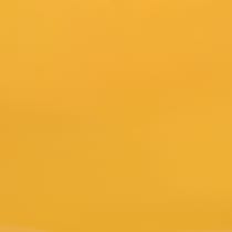 tangerine swatch  