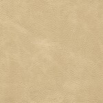 taupe swatch  