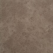 taupe swatch  