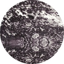 titanium gray area rug  round   