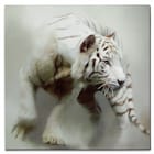 White Tiger Canvas Print