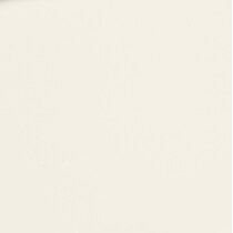 white swatch  