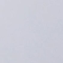 white swatch  