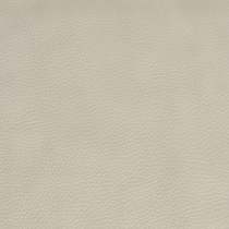 white swatch  