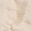 white swatch  
