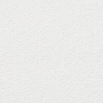 white swatch  