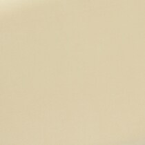 white swatch  