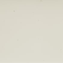 white swatch  